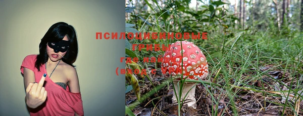 мяу мяу кристалл Осинники
