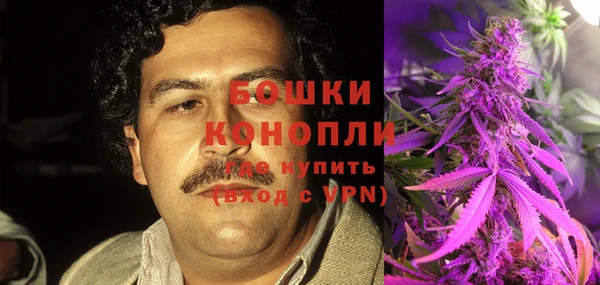 мяу мяу кристалл Осинники